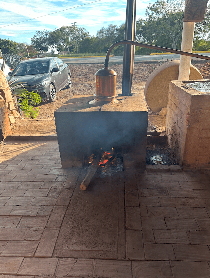 Puerto Mezcal Tours, 